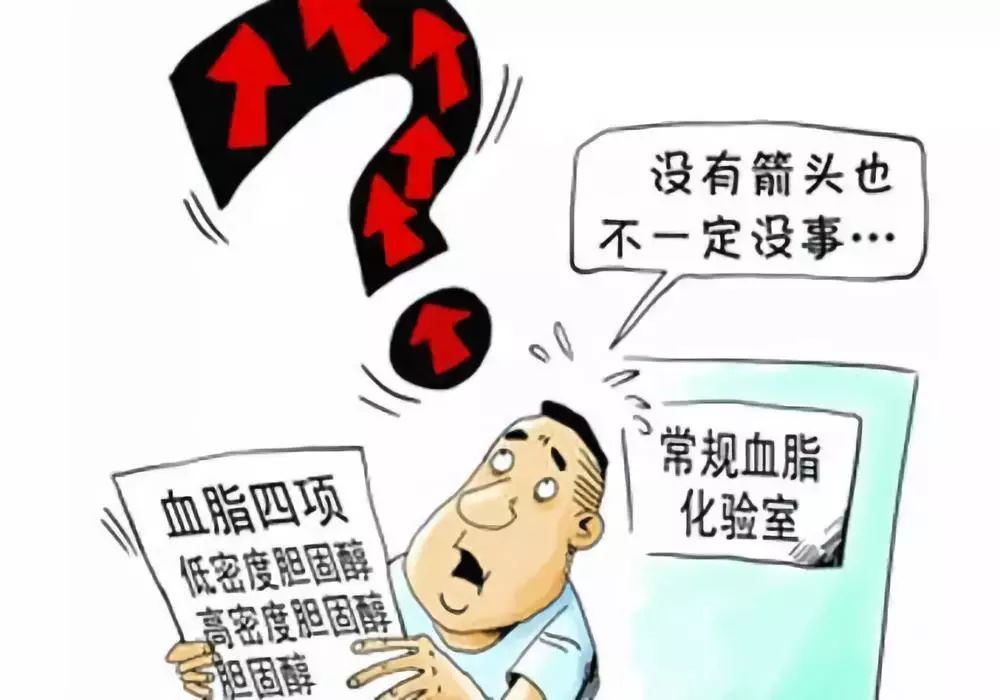 验血TG是什么_验血TG是什么意思