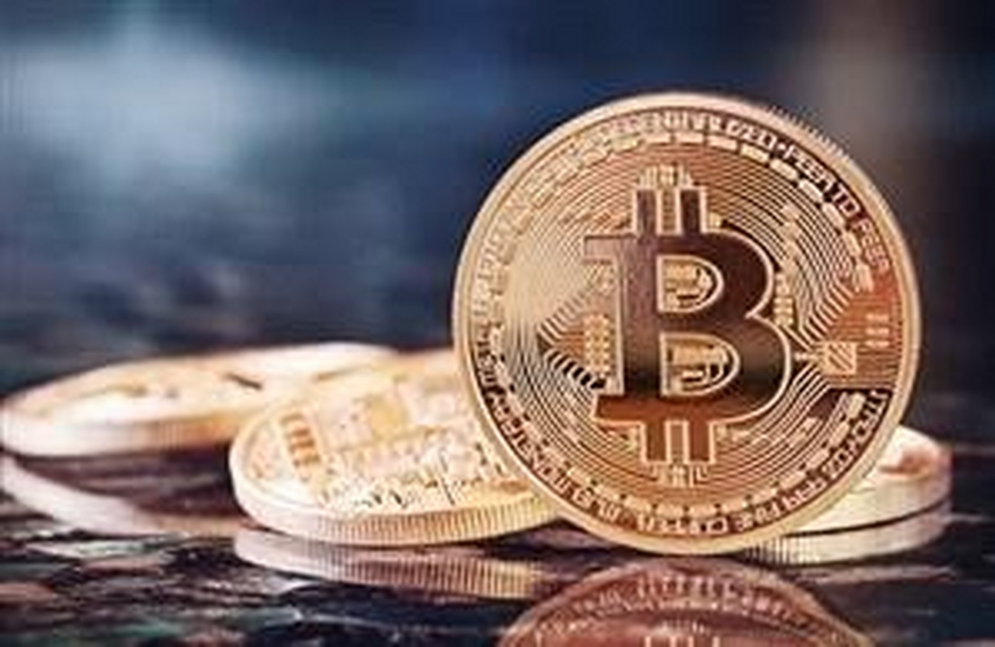 金融钱包是不是倒了的简单介绍
