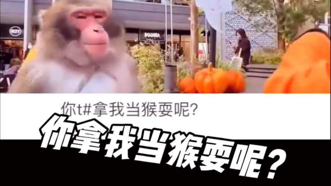 电报猴子盒无广告的简单介绍