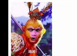 花果山电报员骂人_花果山电报猴东北话
