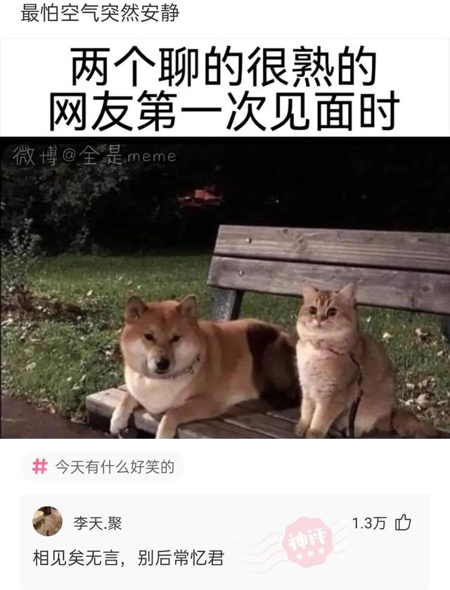 满级电报猴子_满级电报猴子原板