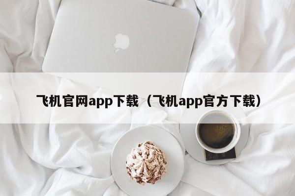 飞机中文版app下载链接_飞机中文版app下载链接安卓