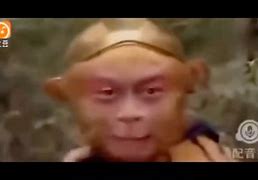 电报猴动态表情包_电报怎么添加表情包