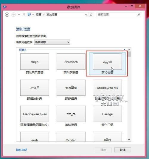 飞机怎么安装中文语言包_飞机怎么安装中文语言包下载