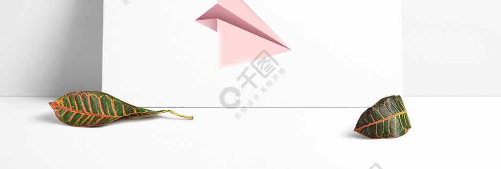 纸飞机网址_纸飞机网址无法访问