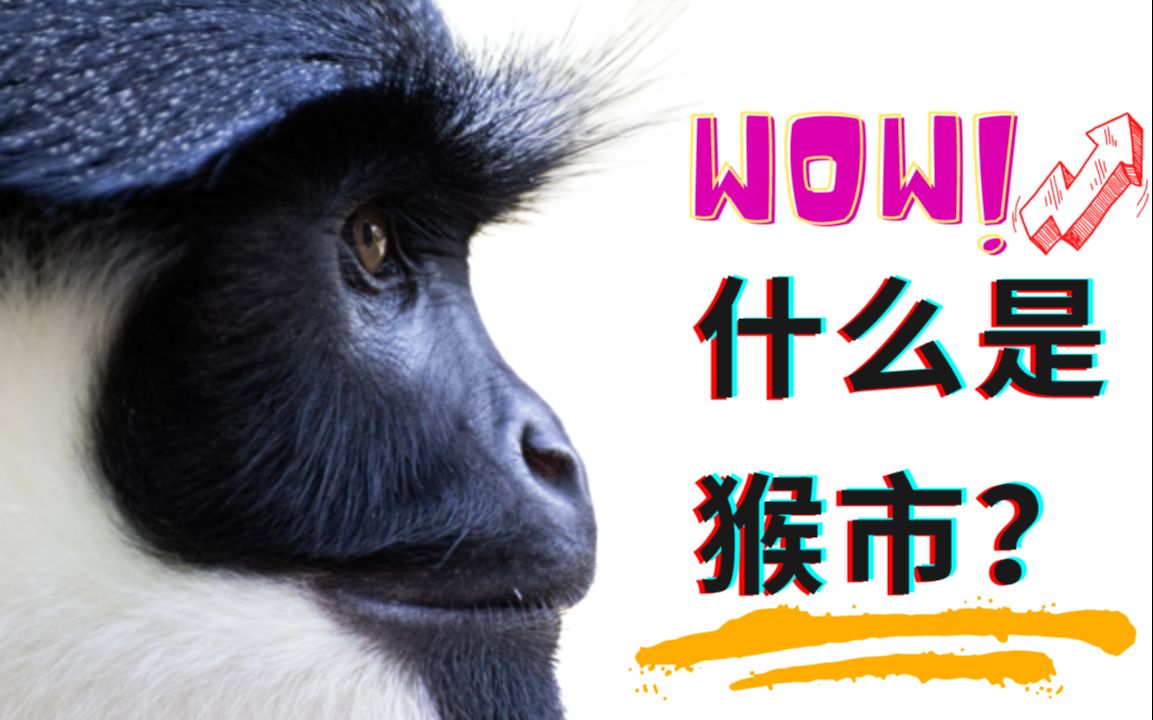 你知道什么是电报猴吗_你知道什么是当当当当当吗