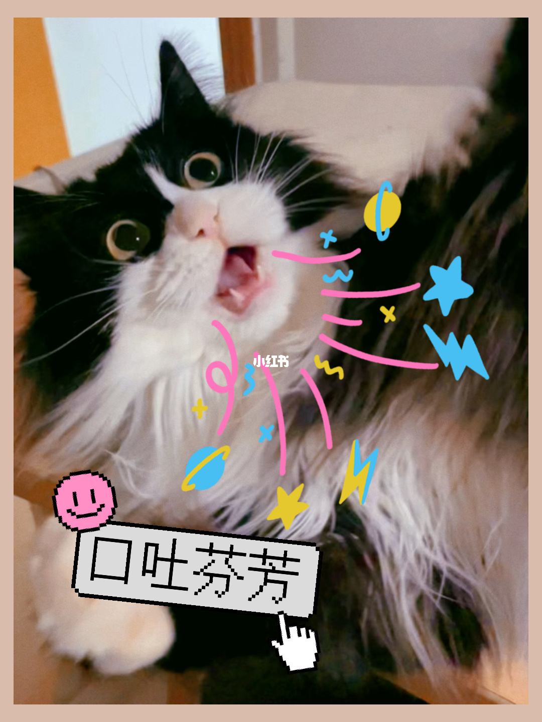 电报员口吐芬芳完整_一开口就是老电报员了
