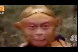 关于电报猴动态表情包的信息