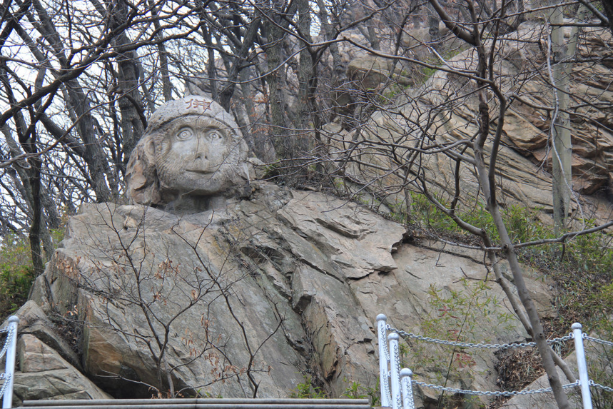 花果山电报猴视频无消音_花 果 山 电 报 员