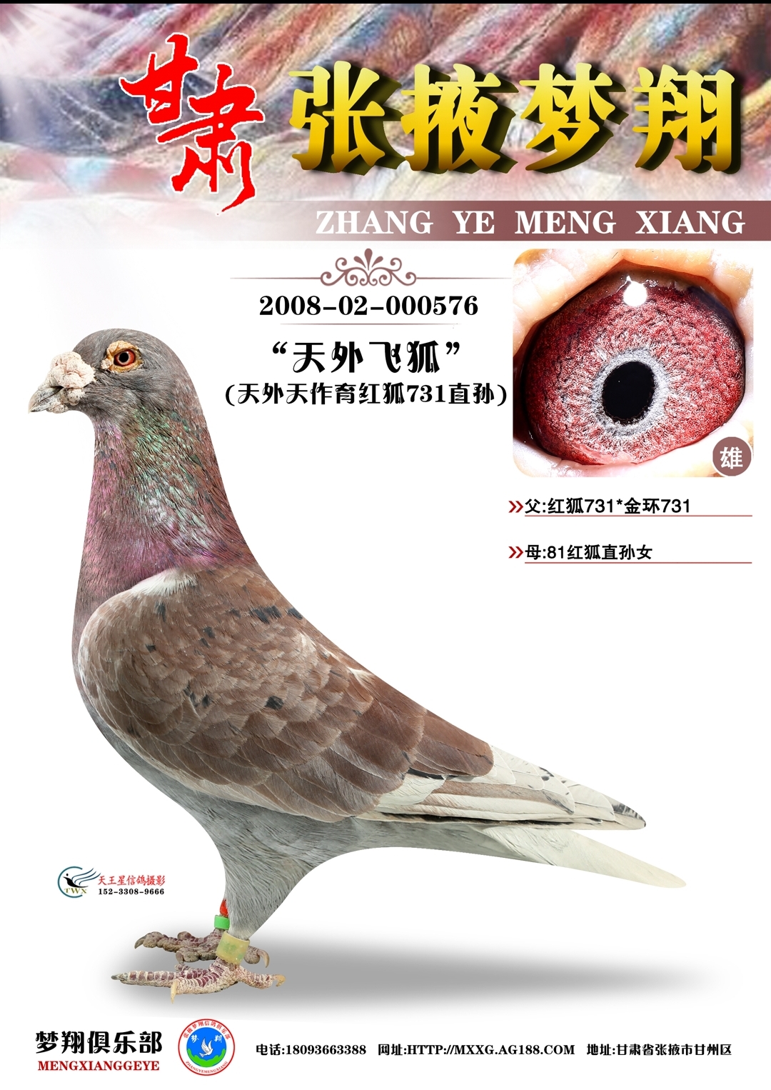 红狐狸红酒系列_红狐狸红酒系列介绍