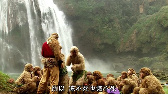 花果山电报猴原视频无消音_花 果 山 电 报 员