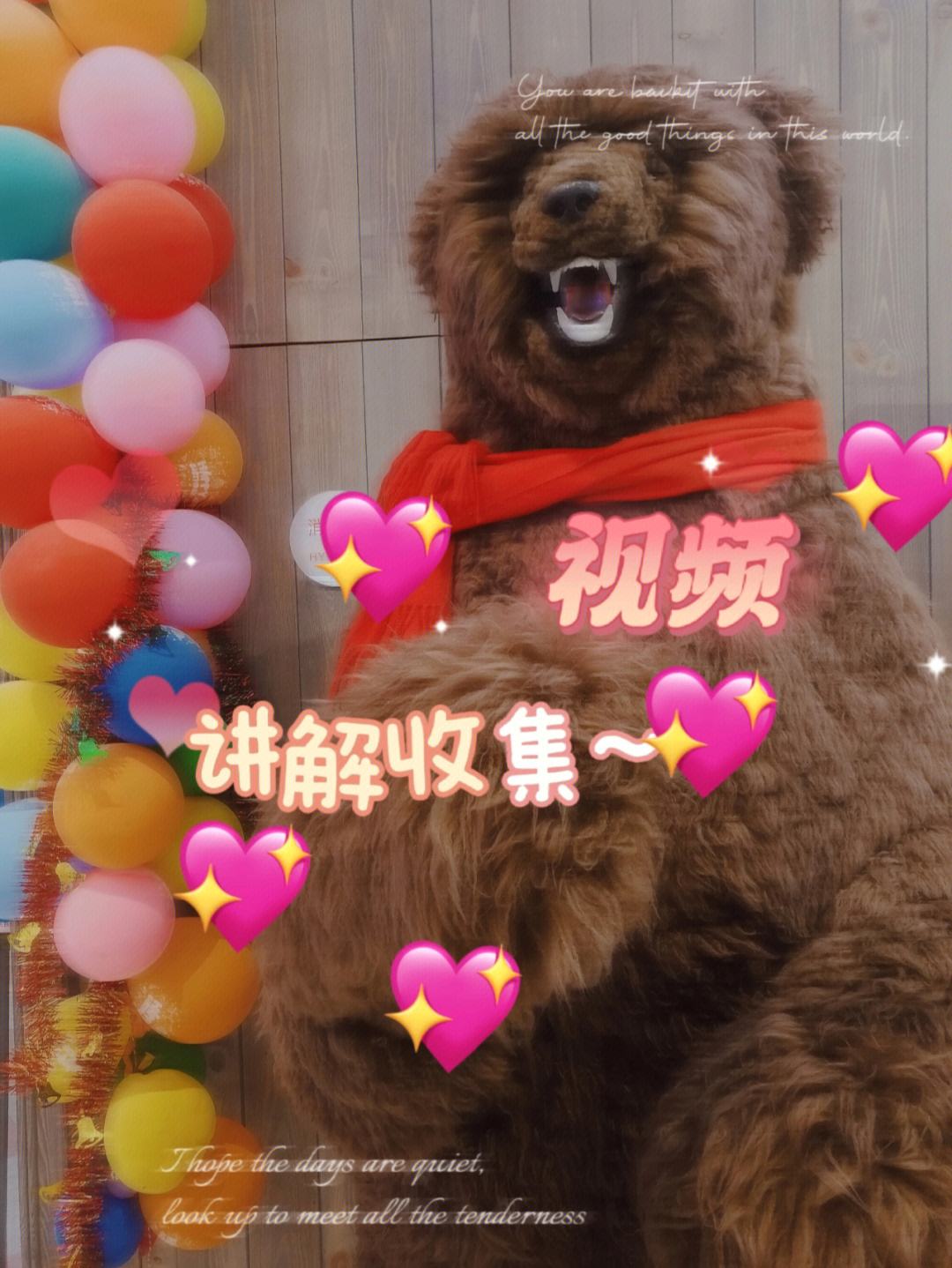 关于fotooframe的信息