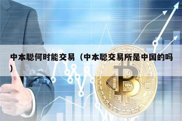 中本聪币项目方_中本聪币项目方是谁