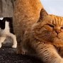 tokenpocket怎么看涨跌_tokenpocket怎么产生收益
