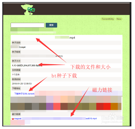 关于Terms-BOTIM中文官方版下载的信息