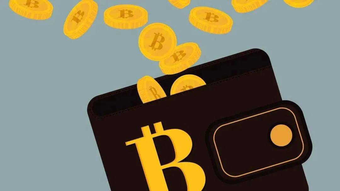 币圈公认最安全的冷钱包_tp钱包和im钱包哪个更安全