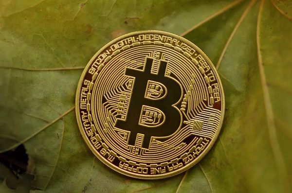 btc怎么玩_btc怎么玩儿