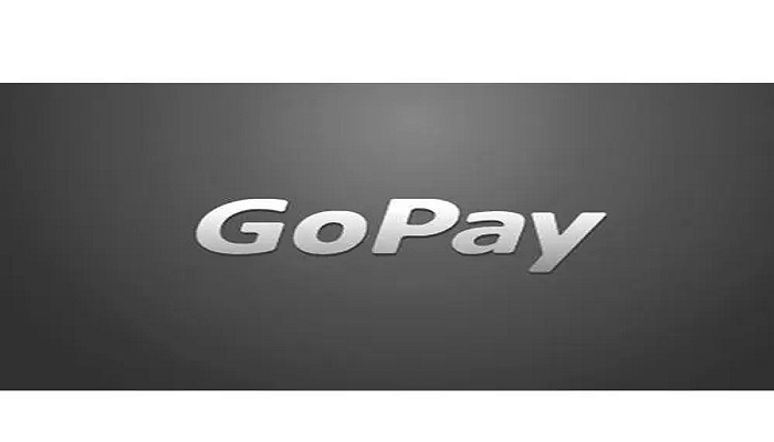 gopay钱包是什么_gopay钱包是什么币