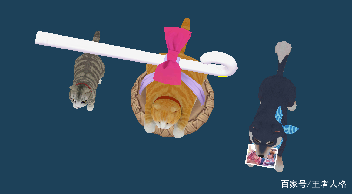 猫咪新皮肤_猫咪新皮肤图片