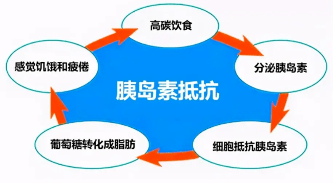 为什么糖尿病患者常伴有TG升高的简单介绍