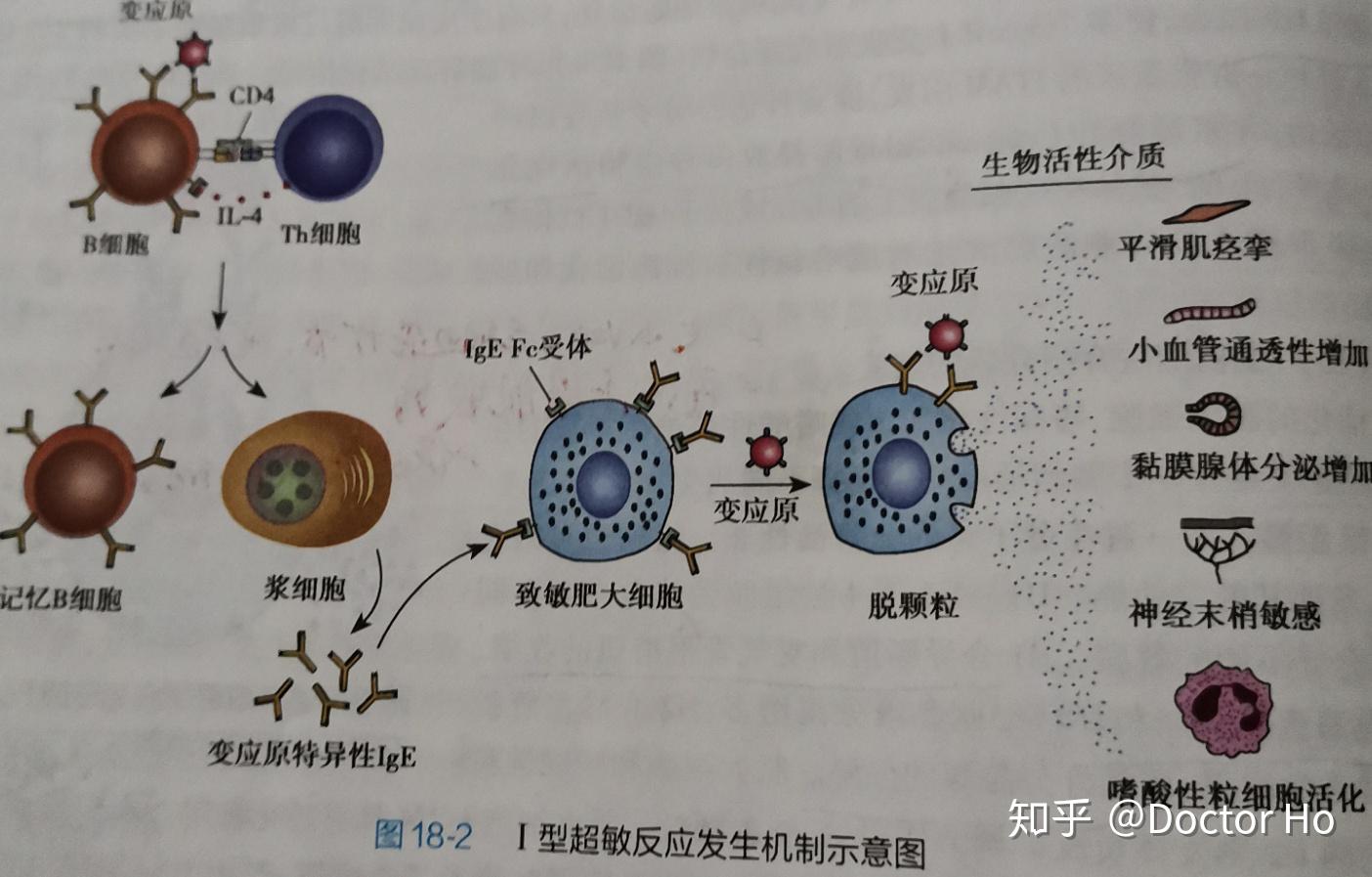 包含TG免疫医学全称的词条