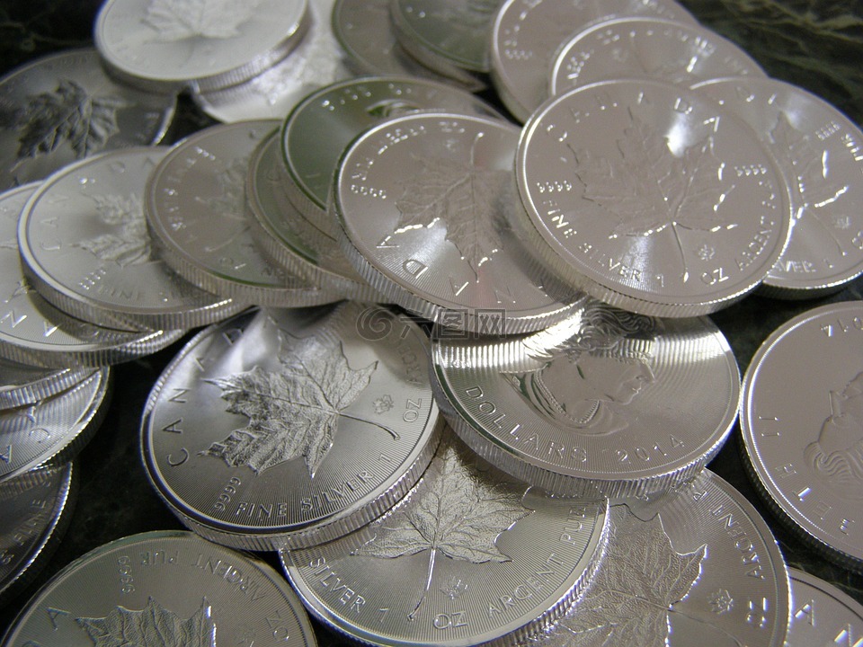 usd是哪种货币_usd是哪种货币的缩写