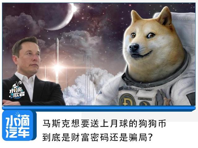 狗狗币官网登录入口_比特币官网登录入口中文