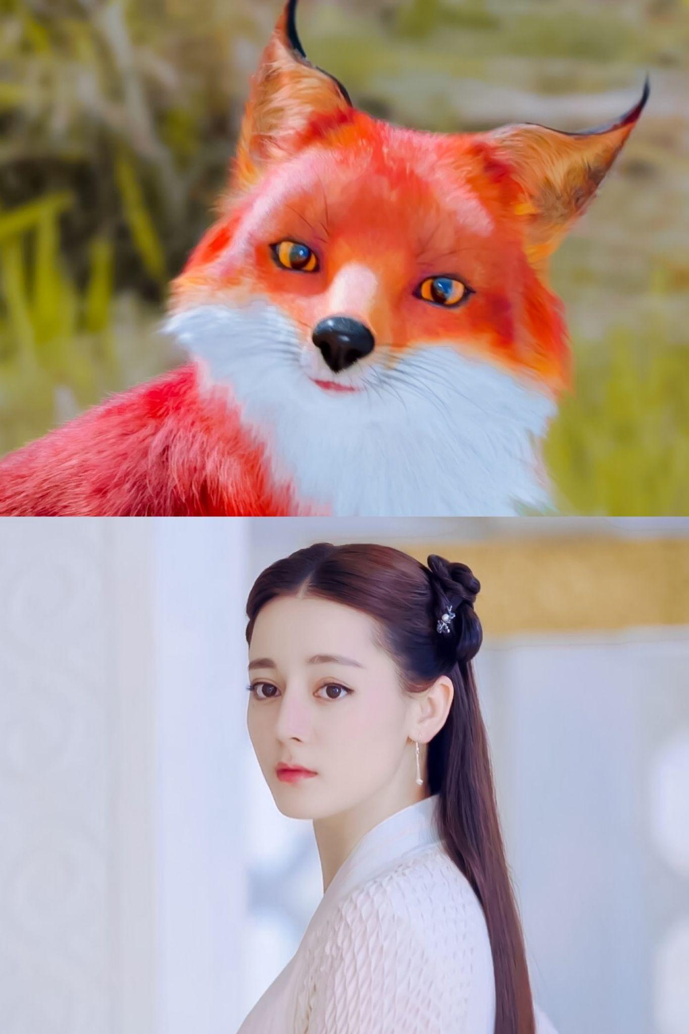 关于小狐狸钱包是真的吗知乎的信息