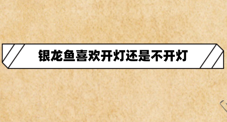 usdt中文名怎么读_usdt币中文叫什么币