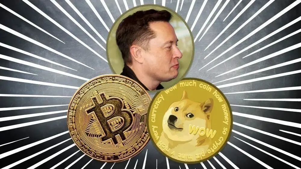 屎币是什么_屎币是什么时候发行的