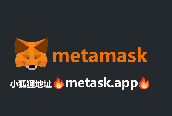 小狐狸钱包软件安全吗_小狐狸钱包app使用方法