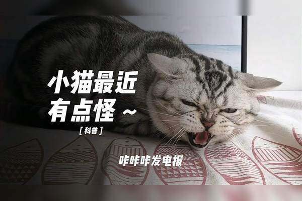 抖音发电报音效_炮声音效超大声60秒