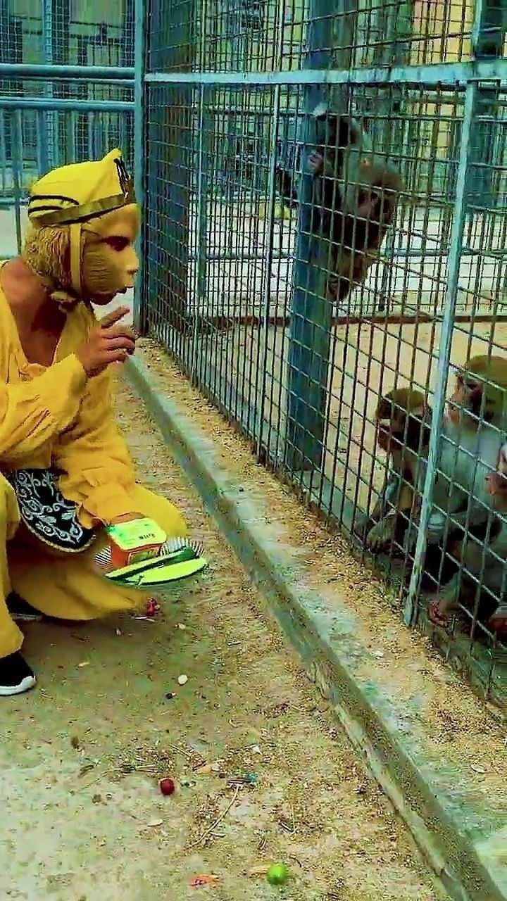 包含西游记电报猴原版的词条