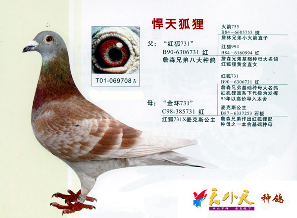 红狐狸红酒系列_红狐狸是哪个国家的