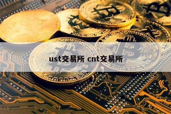 LCusdt交易平台_csgo三大皮肤交易平台