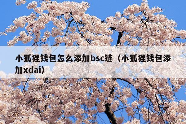 安卓手机安装小狐狸钱包_安卓手机安装小狐狸钱包软件