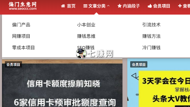 包含飞机软件偏门生意项目大全的词条