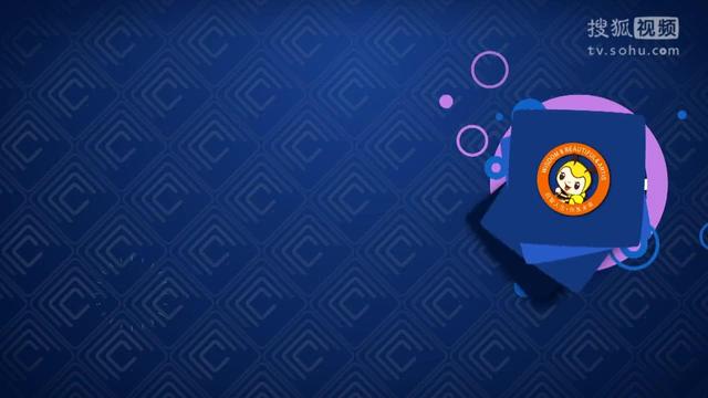 小狐狸软件安装_小狐狸回归github