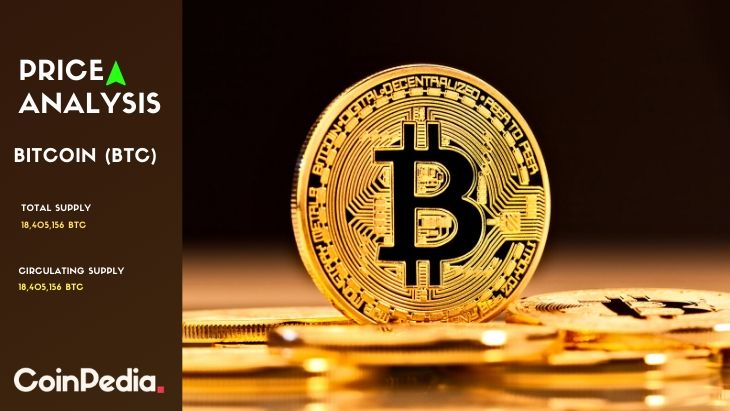 包含usdcoin是什么货币的词条