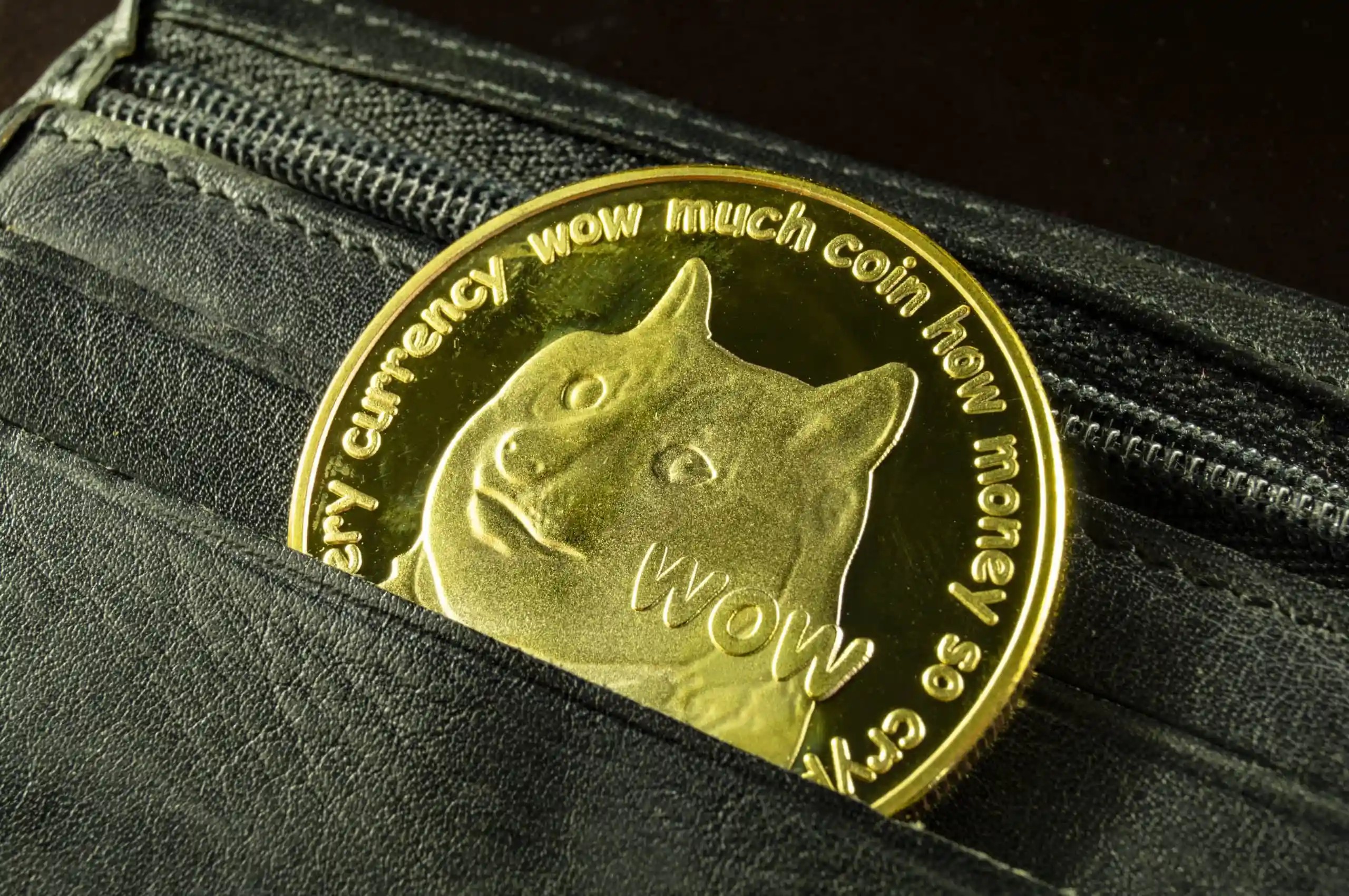 狗狗币钱包下架了吗_狗狗币钱包dogecoin