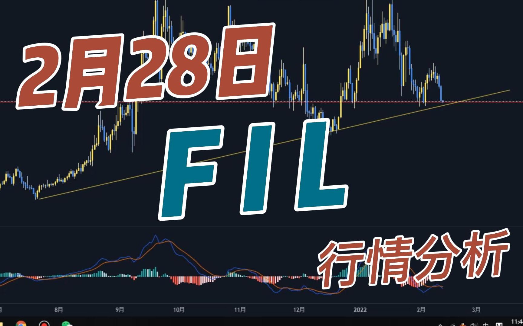 fil今日行情价格_fil今日行情价格多少人民币