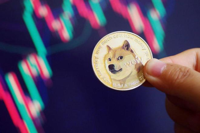 2020年狗狗币价格_2020年狗狗币价格图