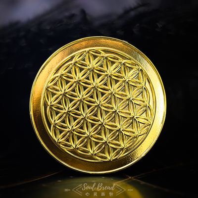锎能量币是传销吗_nl能量币跑路了吗