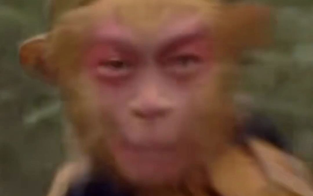 电报猴配音原视频的简单介绍