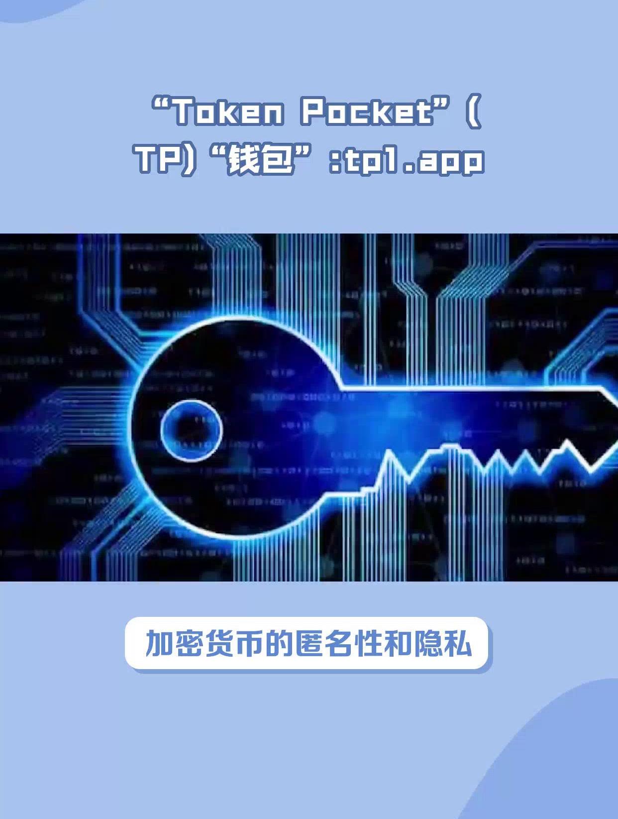 token钱包安全吗、token钱包的最新下载