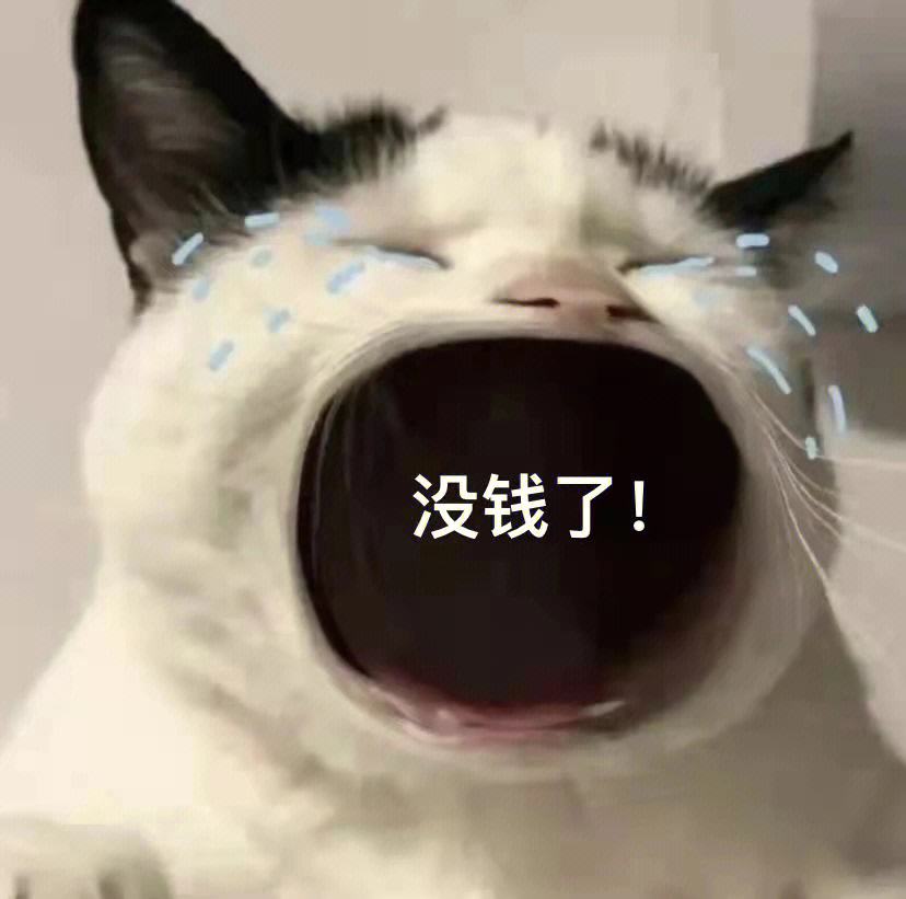 tp钱包添加doge、tp钱包添加代币合约地址