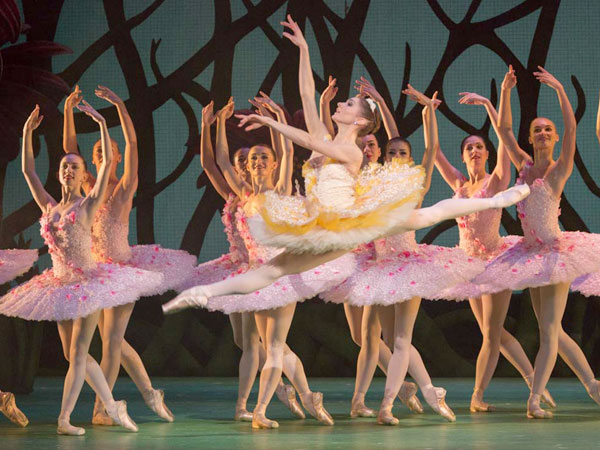 ballet、ballet的中文