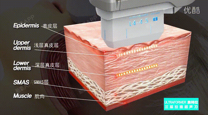 smas币、smart币背后是谁