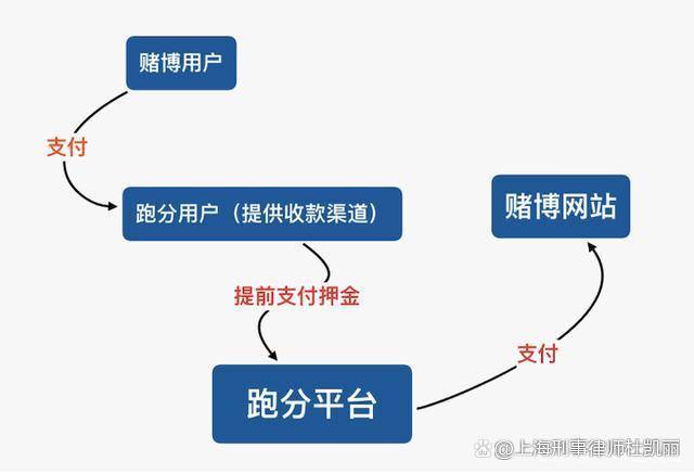 泰达币合法吗、泰达币的合法性