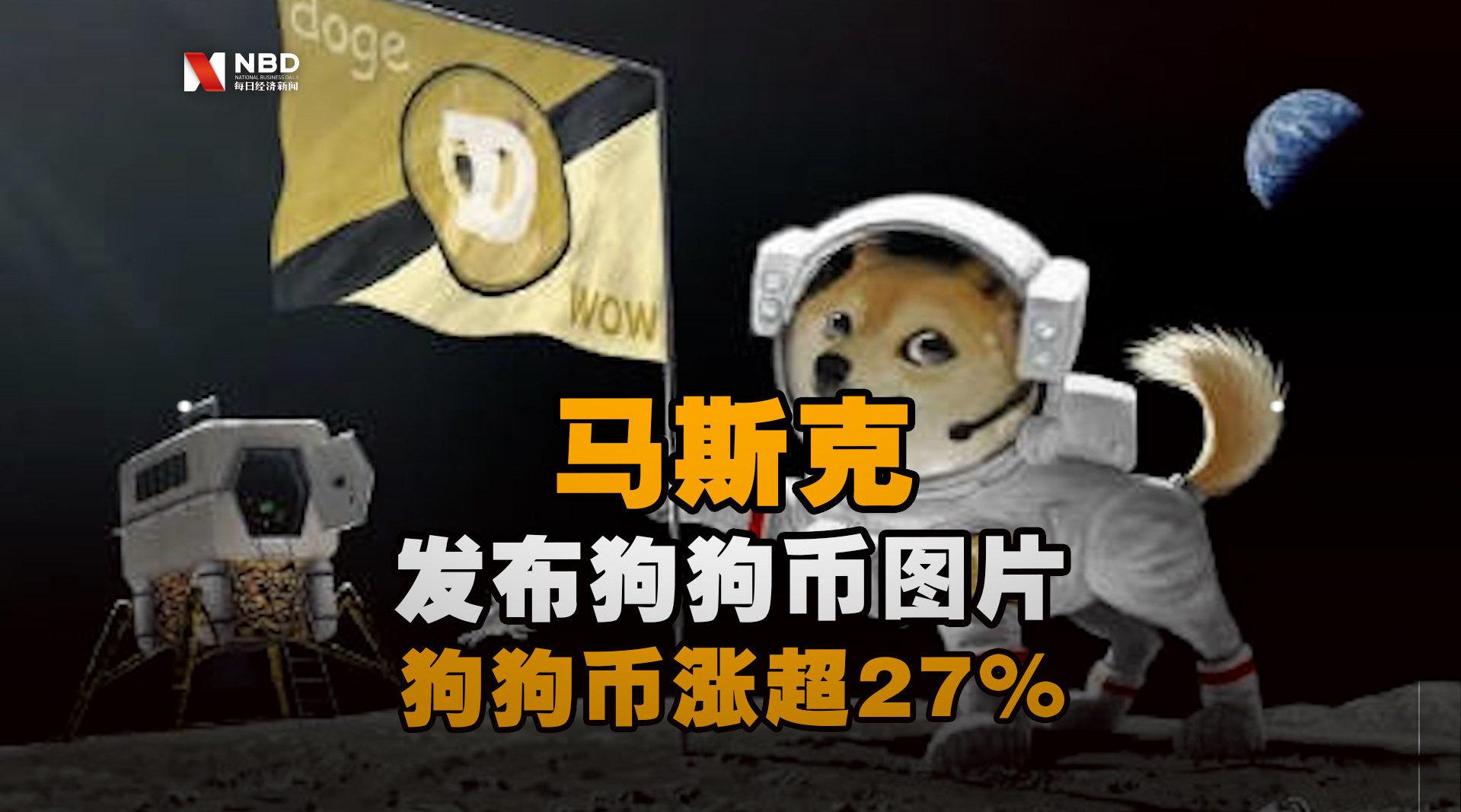 狗狗币为什么疯涨、狗狗币最新官方消息